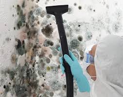 Best Comprehensive Air Testing for Mold Contaminants  in Artesia, CA